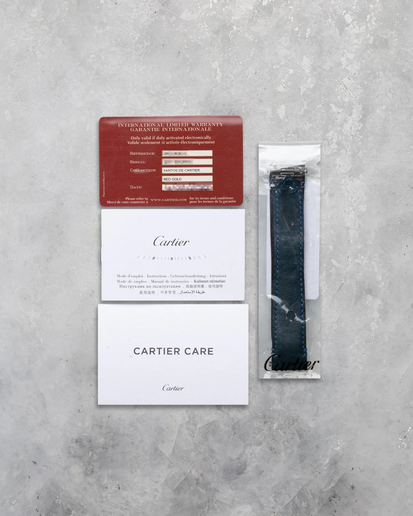 Cartier Santos de Cartier WGSA0019 - Image 6
